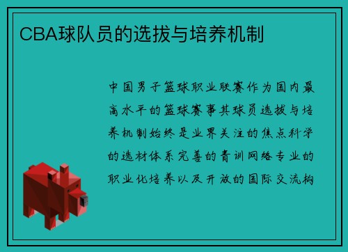 CBA球队员的选拔与培养机制